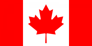 Rug pads shipped to Canada