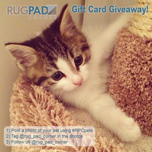 RPCpetsinsta2