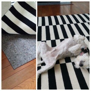 Ike from Decor and the Dog seems to the love the difference our rug pads make and Michelle loves that our rug pads can handle this active pup!