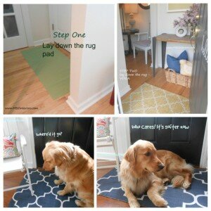 Harry-Beast from MBZ Interiors doesn't care if he can't see the rug pad. As long as it's comfy!