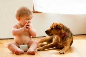 babyanddog